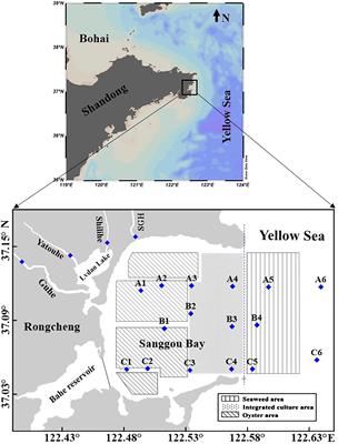 Silicon balance in an integrated multi-tropical aquaculture ecosystem, Sanggou Bay, China